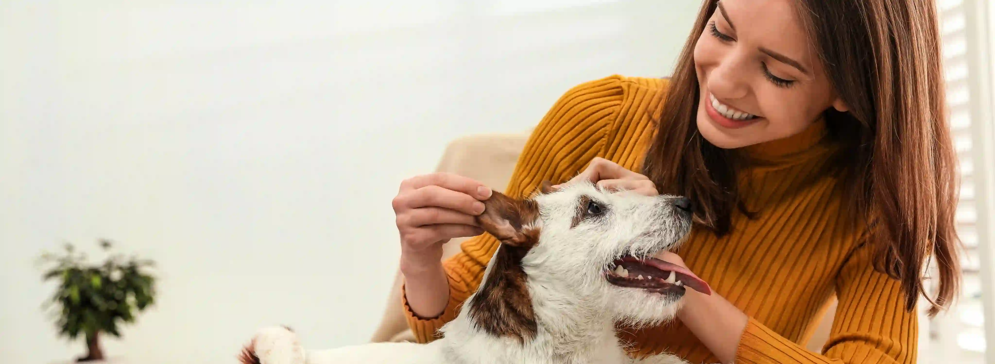 5 Tips to Prolong Your Dog’s Life _ Online Courses Australia.webp