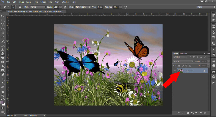 history brush tool.jpg