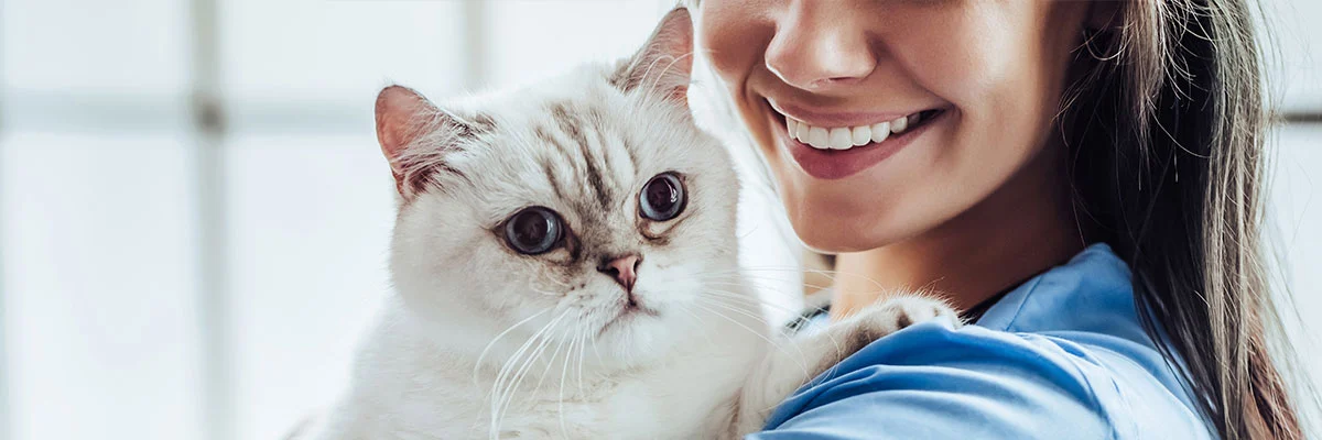 header-updated-cat-v1.webp (1)