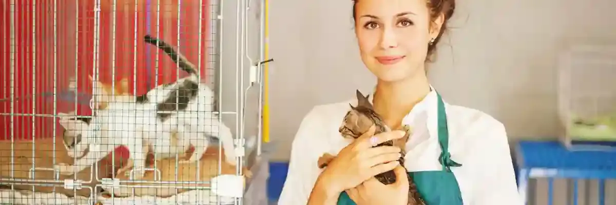 OCA Vet Assistant Web.webp