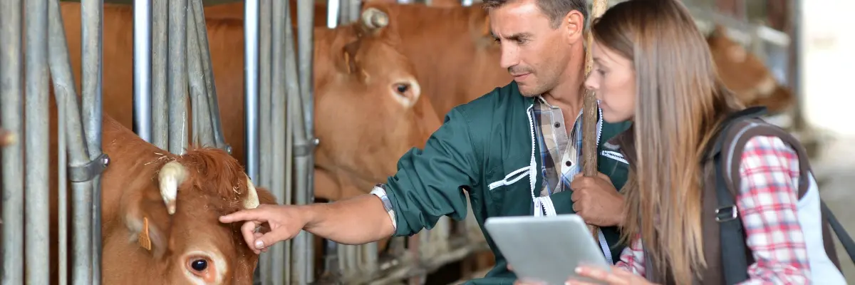 Actionable Tips for Securing a Vet Nursing Job in Australia.webp (1)