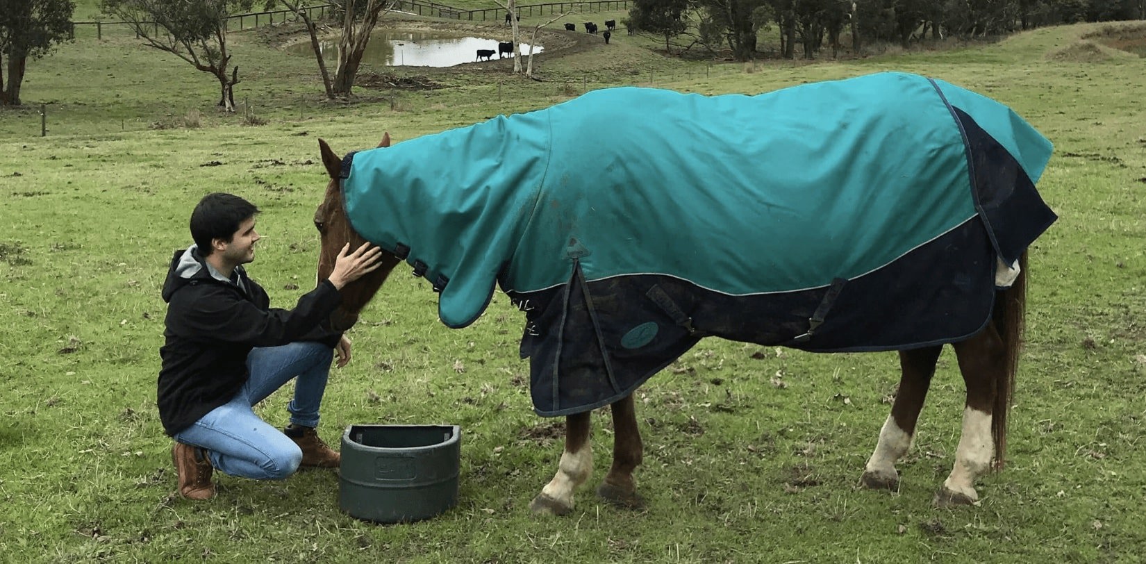 OCA Vet Animal Health-min.jpg