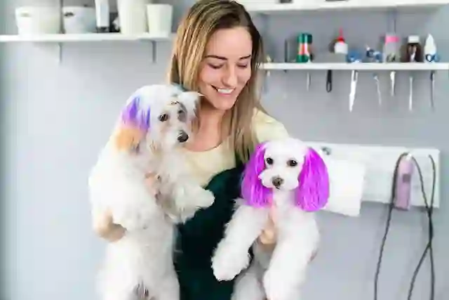 Animal colourist
