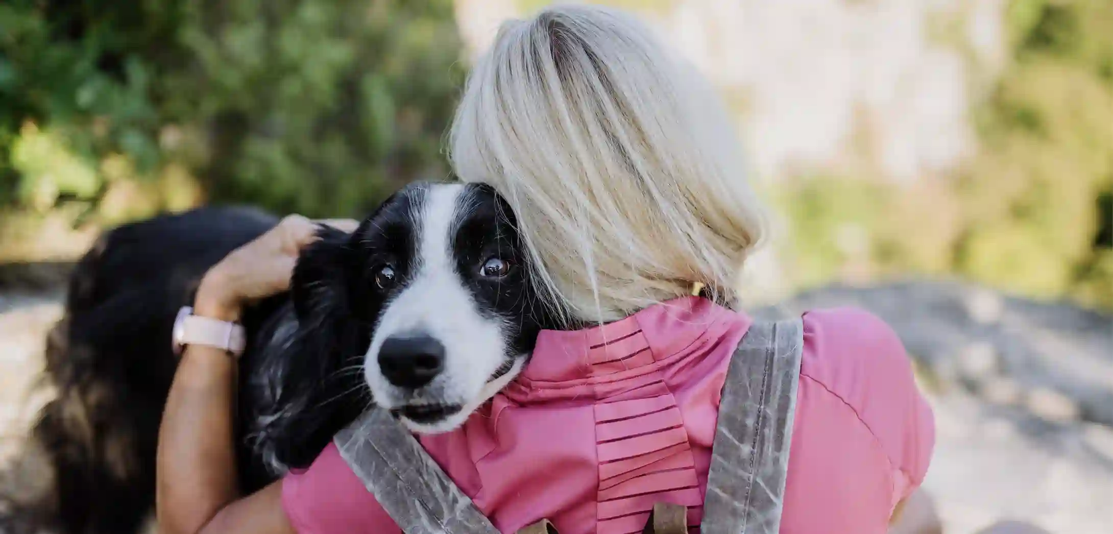 OCA Dog Trainer In Australia.webp
