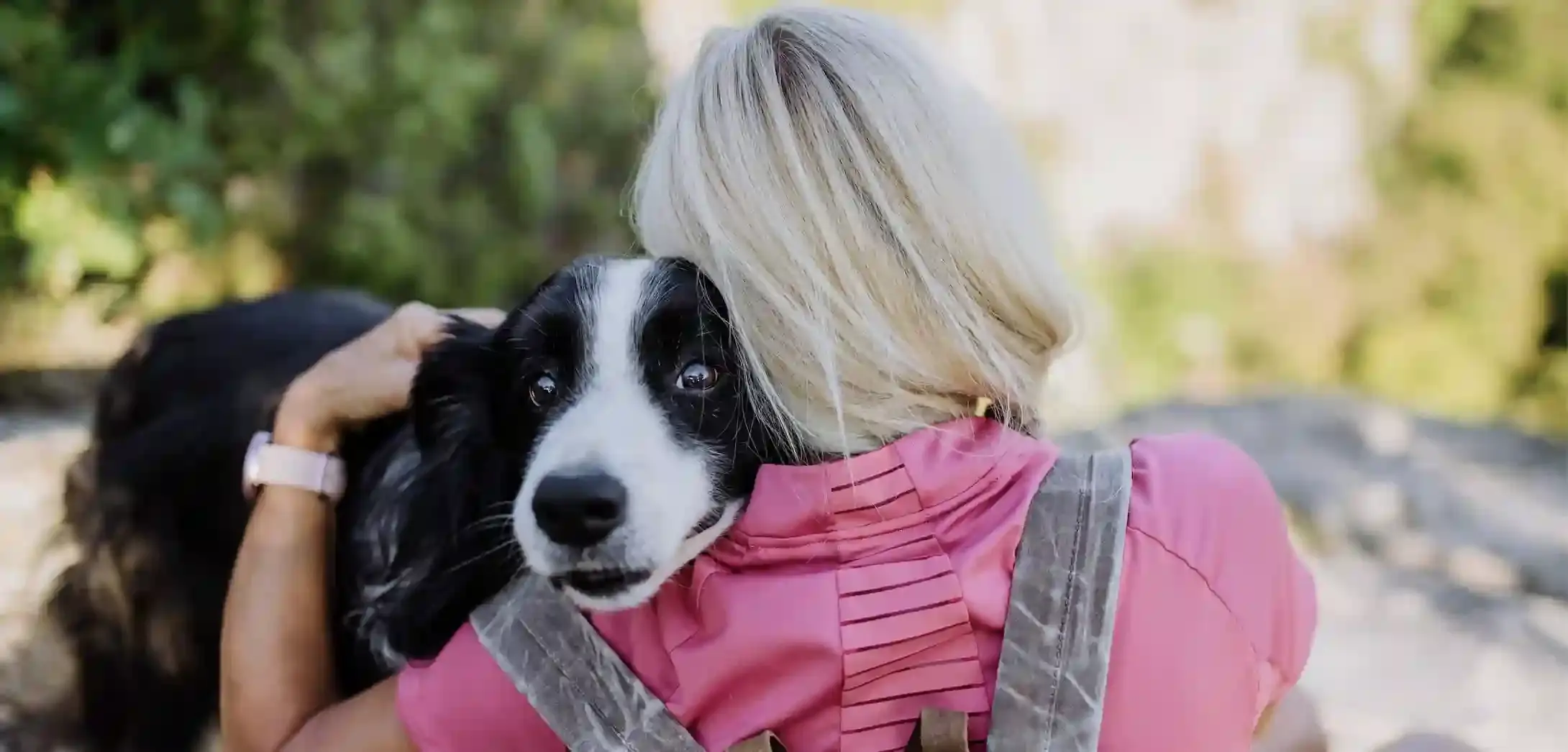 OCA Dog Trainer In Australia.webp