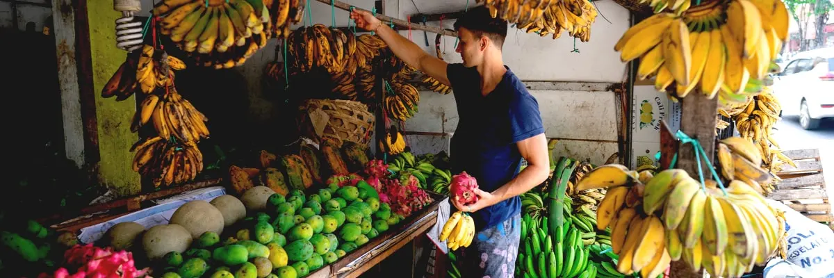 OCA Different kinds of tourist.webp