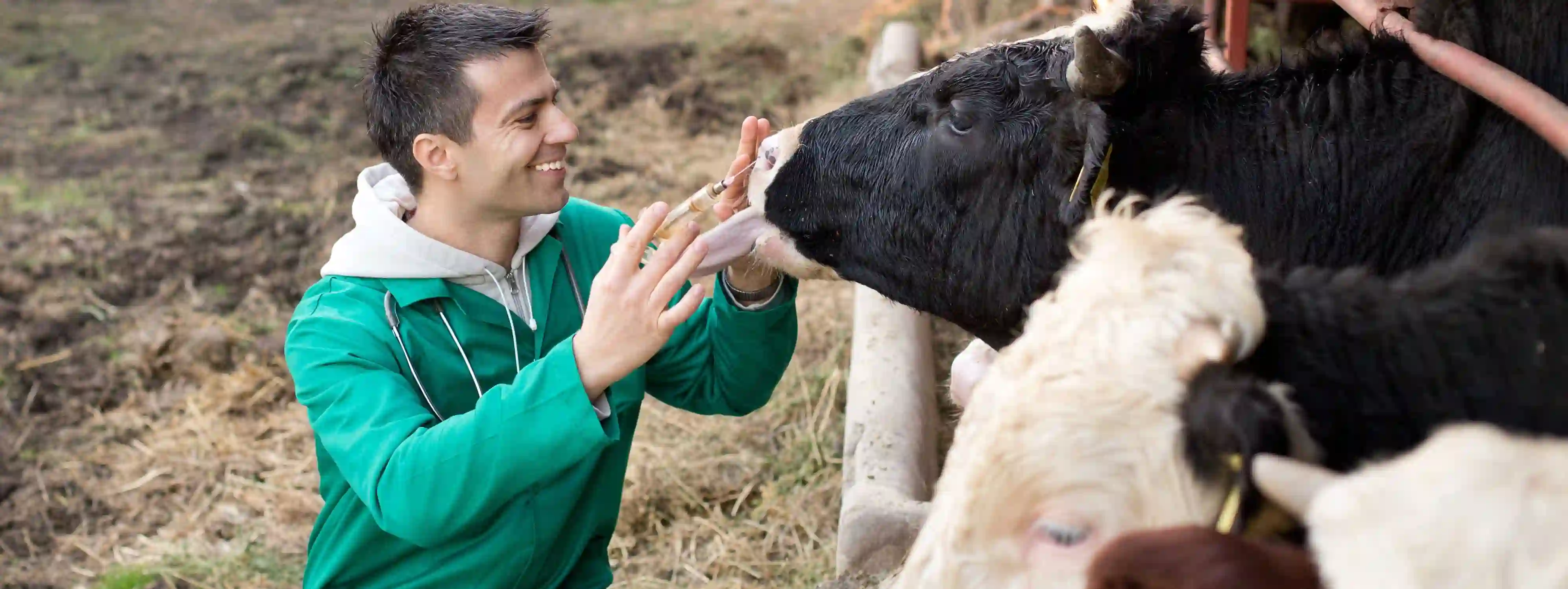 OCA Vet Nurse Career Advice.webp