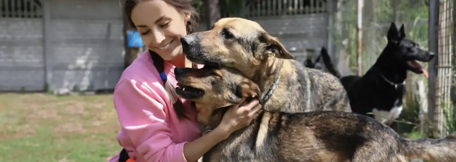 2OCA Animal Attendant Jobs.webp