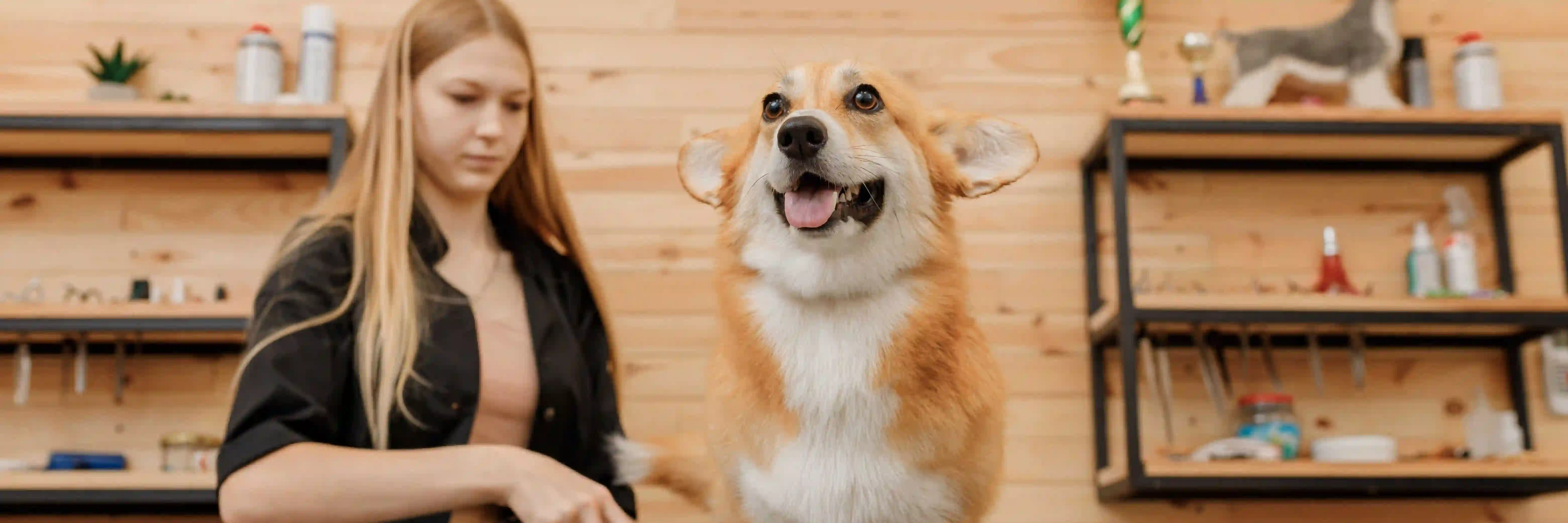 OCA Professional Dog Groomer Jobs.webp