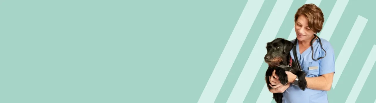 explore-vet-nursing-desktop.webp