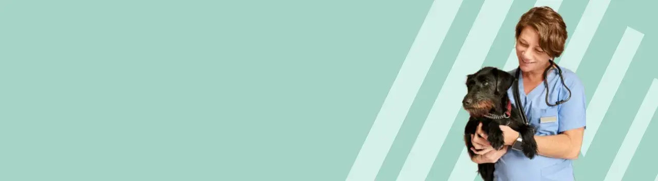 explore-vet-nursing-desktop.webp