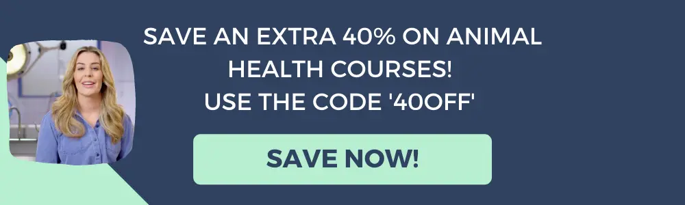 save-an-extra-40-on-already-discounted-animal-health-courses-use-the-code-40off.webp