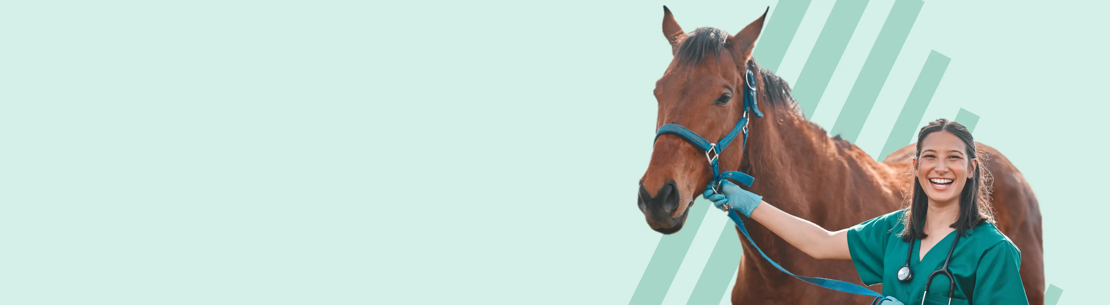 Horse Care Equine Psychology Course Desktop.webp