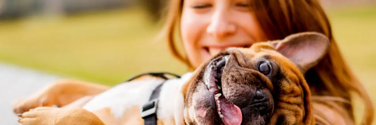 oca-dog-s-body-language.webp