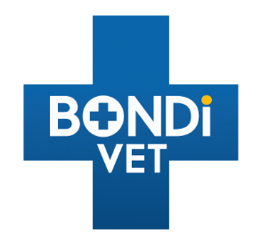 bondi-export-logo
