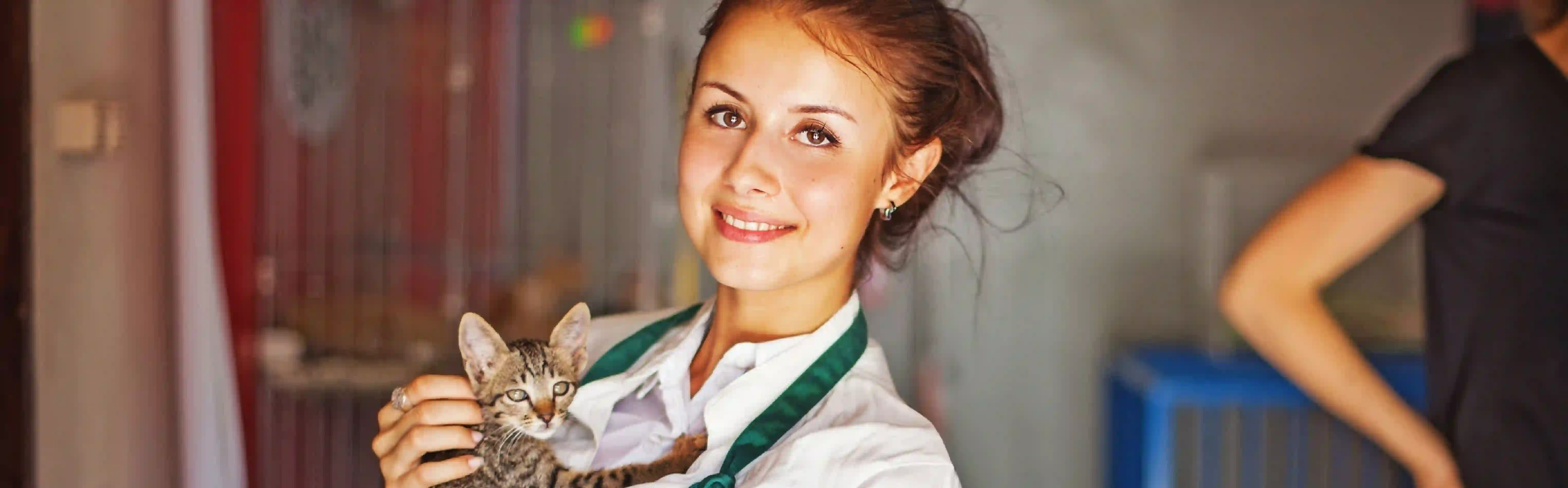 oca-giving-cats-oral-meds.webp