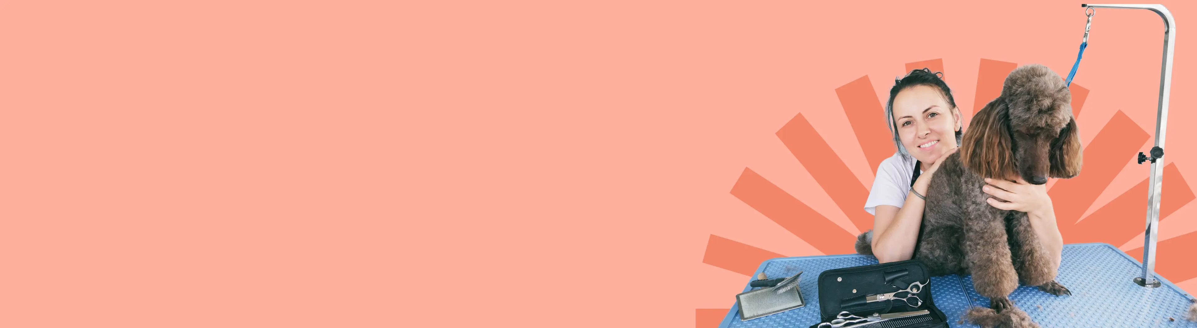 dog-grooming-banner-image-desktop.webp
