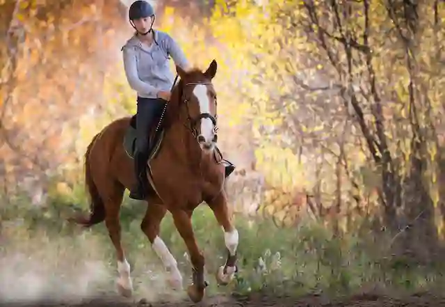 Exercise rider