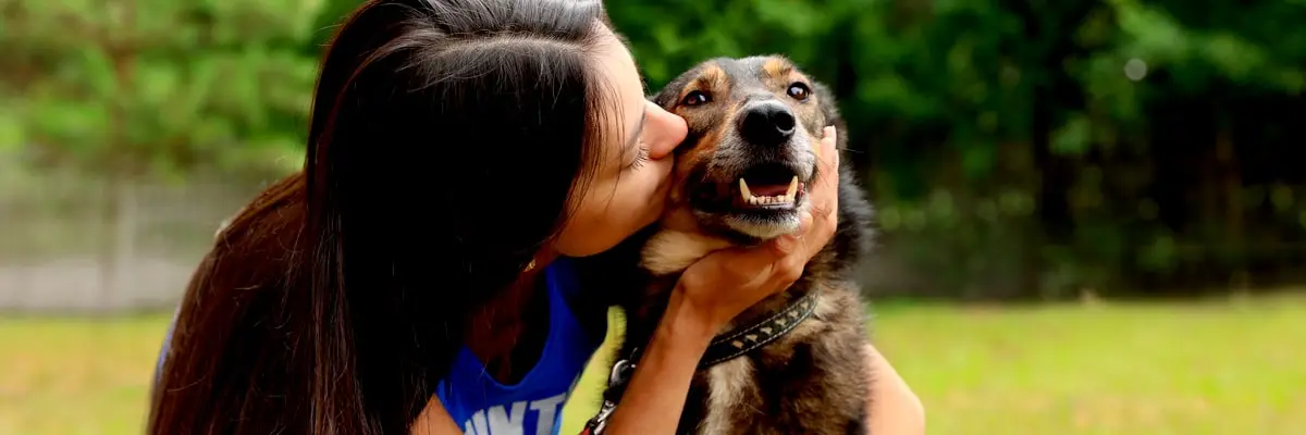 oca-animal-volunteering.webp