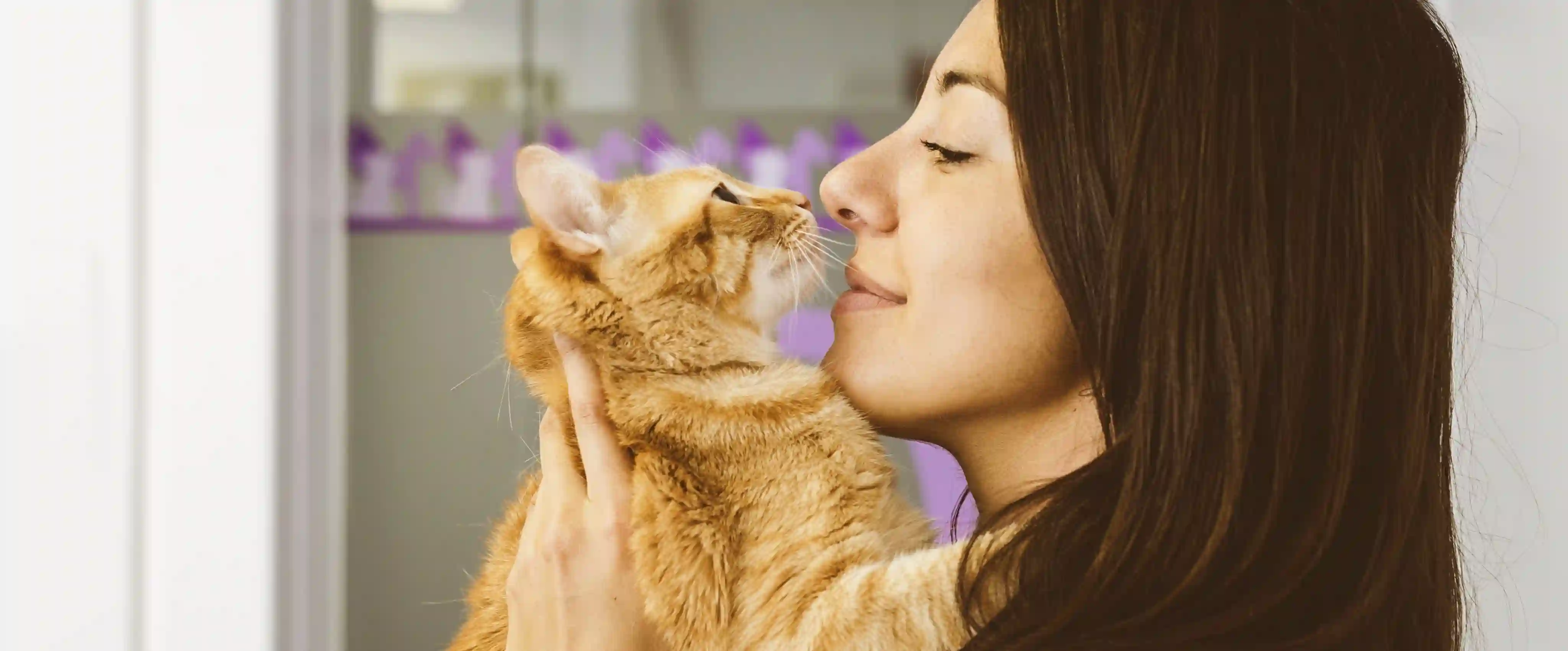 oca-life-of-a-veterinary-assistant.webp